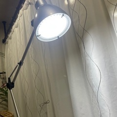 【取引中】フロアライトの画像