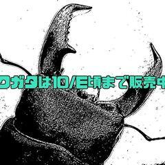 クワガタ＊ロードプラザ倉敷＊玉島＊船穂