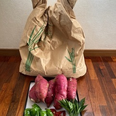 阿久比米5kgと秋野菜セット