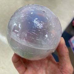 組立可動！コライドン・ミライドン　ポケモン ガチャ ガシャポン フィギュア ポケットモンスター ミニチュア
の画像