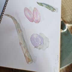 スケッチブックの画像