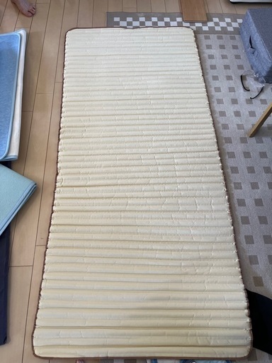 備長炭入り 除湿シート【シングル/約90×180cm】湿気をグングン吸収 湿気取りシート 除湿マット 梅雨対策カビ対策