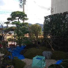 植木の剪定の作業員を探しています。日払いで17000円迄お支払い...