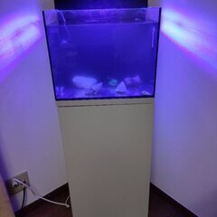 水槽セット　海水用の画像