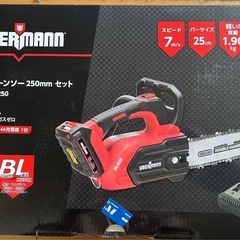 値下げ❗️充電式チェーンソー250㎜新品未開封！ バッテリー・充...