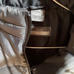 ダウン140PUMAの画像