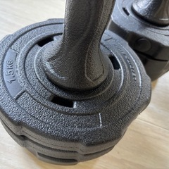 プレート型ダンベル10kg×2個　重量調整可能の画像