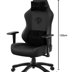 定価60000　ほぼ新品　anda seat phantom 3の画像