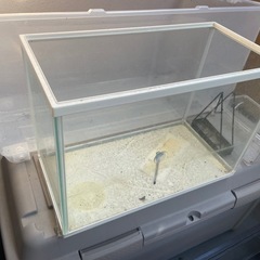 水槽の画像