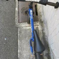 キッズバイク(ストライダー)の画像