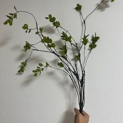 フェイクグリーン