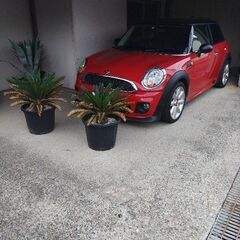 　ミニ　クーパー　BMW製　現車確認&試乗必須です　車検　令和7年7月末までの画像
