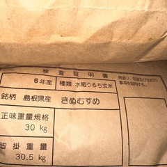 令和6年度産　きぬむすめの画像