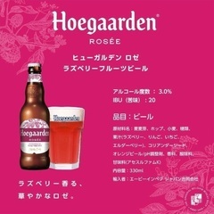 1ケース⭐︎24本セット！！　ヒューガルデン ロゼ　フルーツビール　Hoegaarden ビール　韓国　ラズベリーの画像
