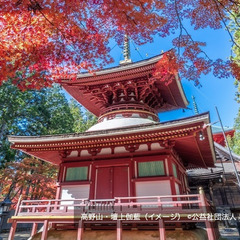 非日常のリトリート体験。一緒に高野山で有意義な時間を過ごしませんか😃