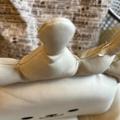 テディハグの画像