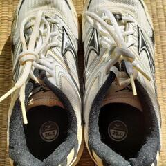 Mizuno スニーカー 26の画像