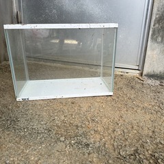 水槽　