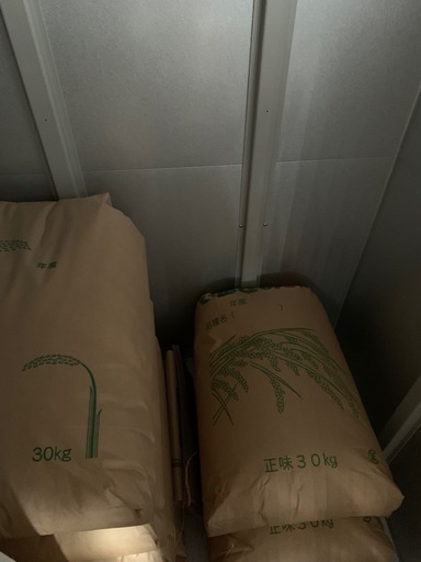 令和5年産　ヒノヒカリ　おいでまい　玄米　30kg