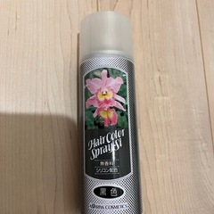 IRIYA COSMETICS ヘアカラー スプレー 黒色
