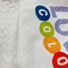 【8日廃棄】はらぺこあおむしバッグの画像