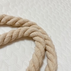 【8日廃棄】はらぺこあおむしバッグの画像