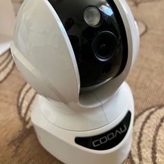 【取引終了】ネットワークカメラの画像