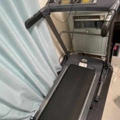岐阜県のアルインコの中古が安い！激安で譲ります・無料で