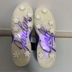 AIR JORDAN6 ゴルフシューズの画像
