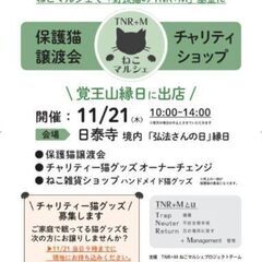 チャリティ猫グッズの募集の画像