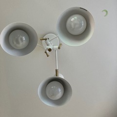 ★Faunus スポットライト「美品」3灯の画像