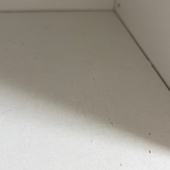 ニトリ　カラーボックスの画像