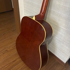 HISTORY ヒストリー アコースティックギターの画像