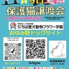 保護猫ちゃんと里親様のお見合い会です。