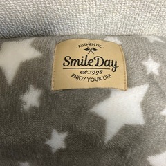 ★ペット用　ベットマットの画像
