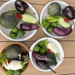 野菜セット300円