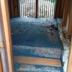 手作りの犬小屋の画像