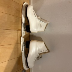 スケート靴
の画像