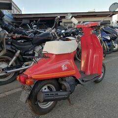 SUZUKI 薔薇50cc　セル付きの画像