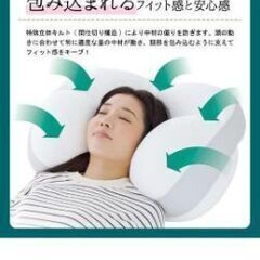 もっちりビーズわたまくらの画像