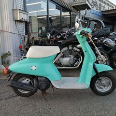 SUZUKI 薔薇　セル無しの画像