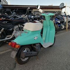 SUZUKI 薔薇　セル無しの画像