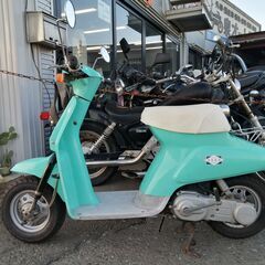 SUZUKI 薔薇　セル無しの画像