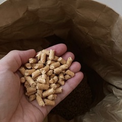 木製ペレット　猫砂 猫用の画像