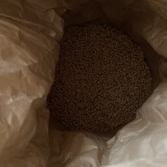 木製ペレット　猫砂 猫用の画像