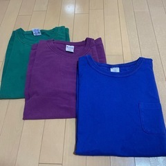 チャンピオンTシャツ　リバースウィーブとT1011