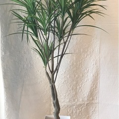 美品　ドラセナ　フェイクグリーン　観葉植物