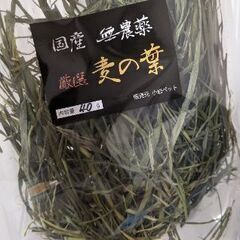 モルモット　うさぎ　餌　麦の葉
