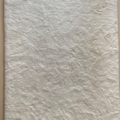 ホワイトカーペット