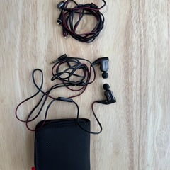 SONY カナル型イヤホン XBA-A2の画像